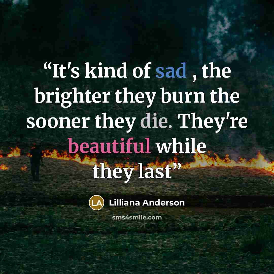 “It's kind of sad , the brighter they burn the sooner they die. They're beautiful while they last” quote by Lilliana Anderson