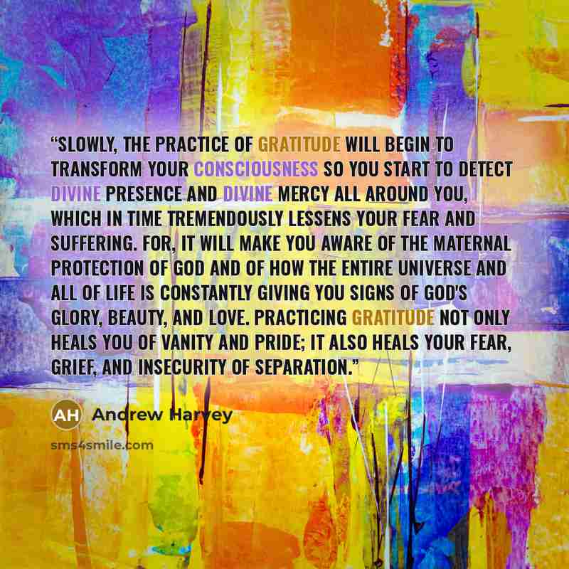 “Slowly, the practice of gratitude will begin to transform your consciousness so you start to detect Divine Presence and Divine Mercy all around you, which in time tremendously lessens your fear and suffering. For, it will make you aware of the maternal protection of God and of how the entire…” quote by Andrew Harvey