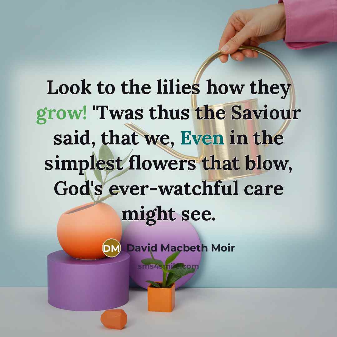 “Look to the lilies how they grow! 'Twas thus the Saviour said, that we, Even in the simplest flowers that blow, God's ever-watchful care might see.” quote by David Macbeth Moir