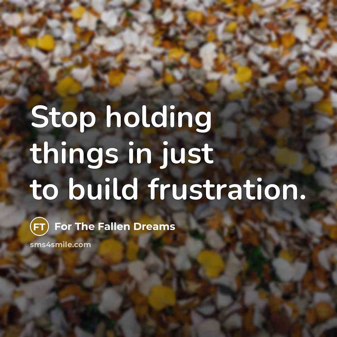 “Stop holding things in just to build frustration.” quote by For The Fallen Dreams