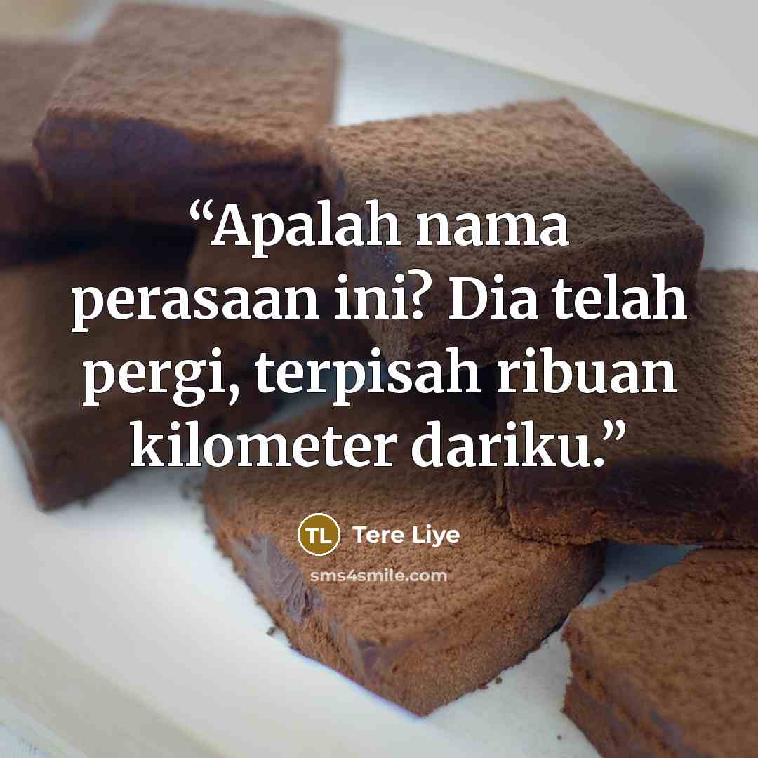 “Apalah nama perasaan ini? Dia telah pergi, terpisah ribuan kilometer dariku.” quote by Tere Liye
