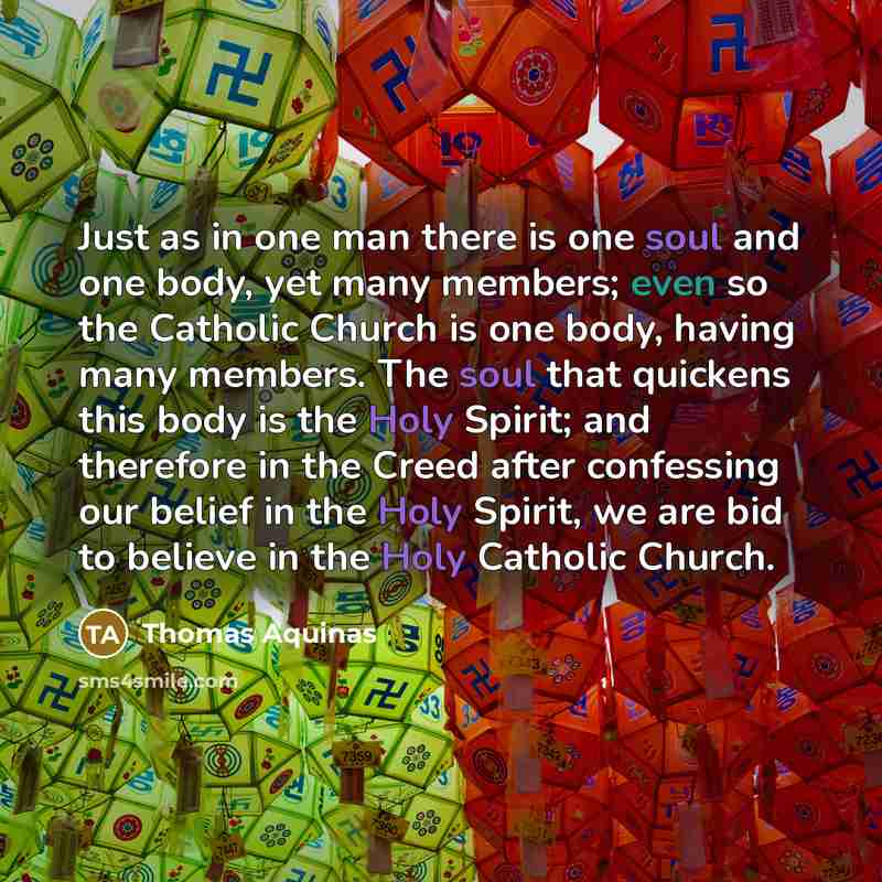 “Just as in one man there is one soul and one body, yet many members; even so the Catholic Church is one body, having many members. The soul that quickens this body is the Holy Spirit; and therefore in the Creed after confessing our belief in the Holy Spirit, we are bid to believe in the Holy…” quote by Thomas Aquinas