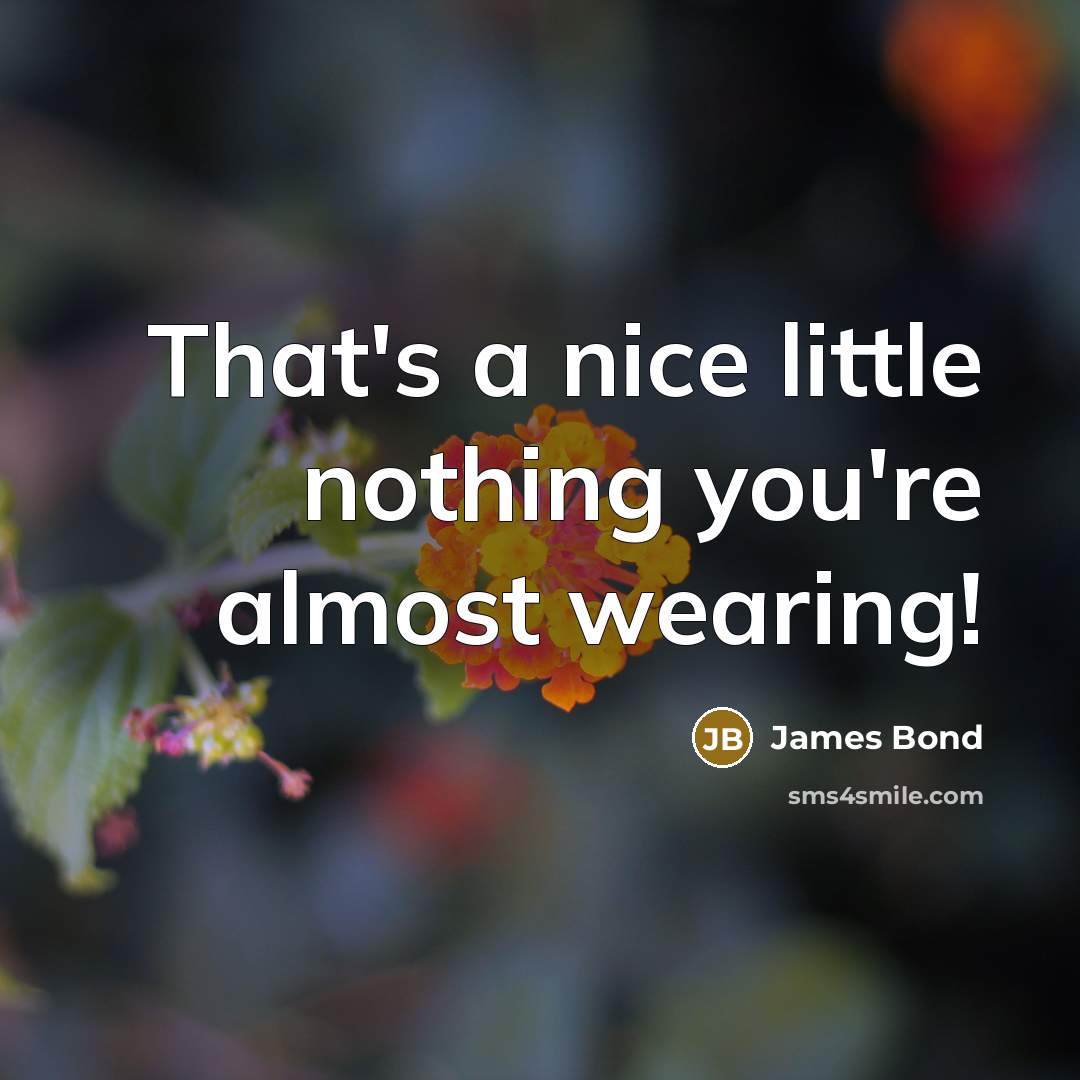 “That's a nice little nothing you're almost wearing!” quote by James Bond