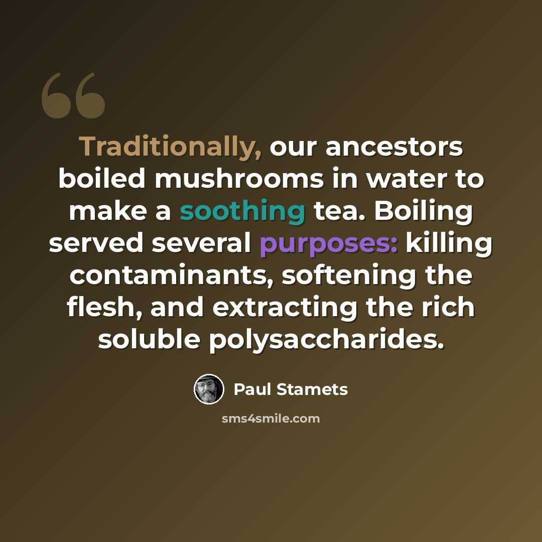 “Traditionally, our ancestors boiled mushrooms in water to make a soothing tea. Boiling served several purposes: killing contaminants, softening the flesh, and extracting the rich soluble polysaccharides.” quote by Paul Stamets