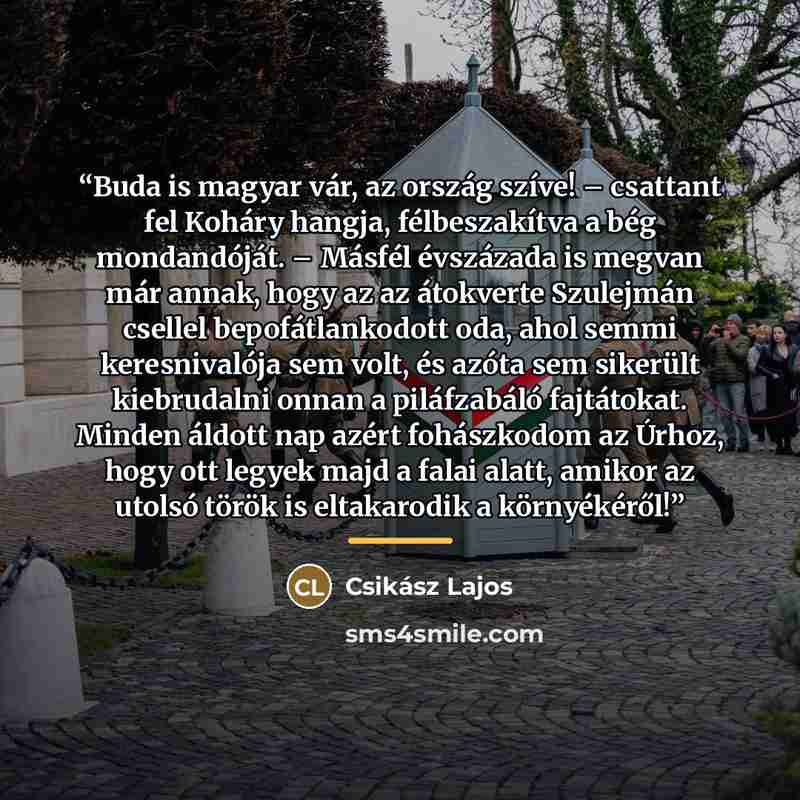 “Buda is magyar vár, az ország szíve! – csattant fel Koháry hangja, félbeszakítva a bég mondandóját. – Másfél évszázada is megvan már annak, hogy az az átokverte Szulejmán csellel bepofátlankodott oda, ahol semmi keresnivalója sem volt, és azóta sem sikerült kiebrudalni onnan a piláfzabáló…” quote by Csikász Lajos