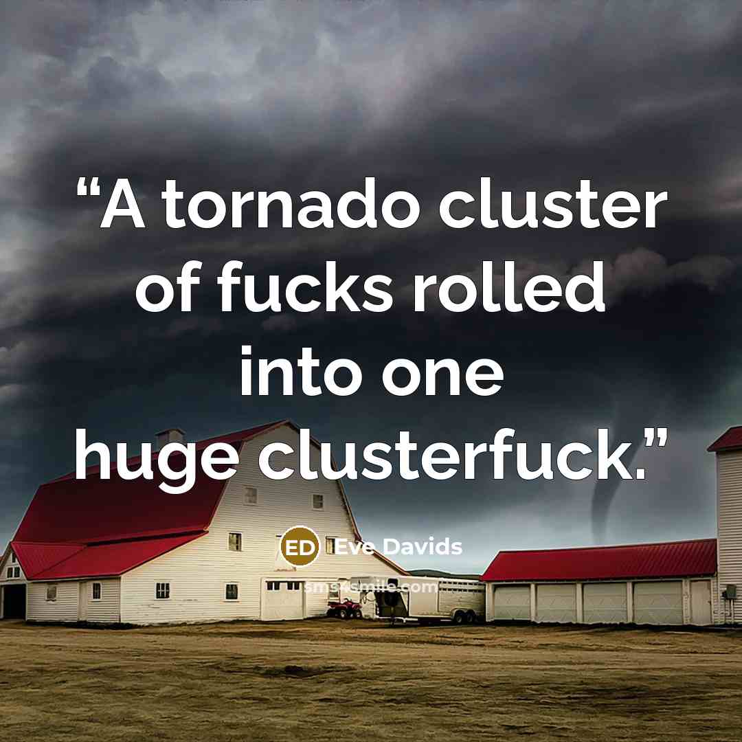 “A tornado cluster of fucks rolled into one huge clusterfuck.” quote by Eve Davids