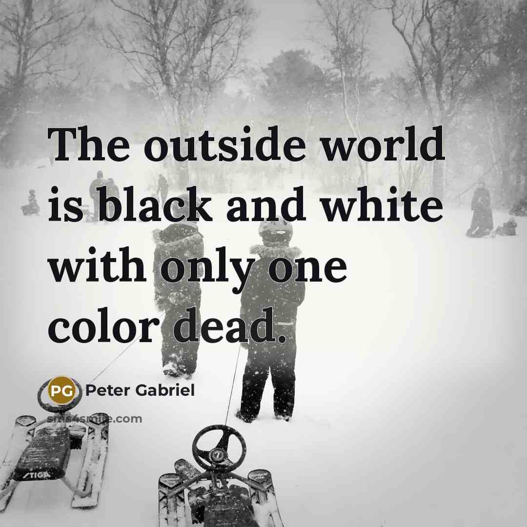 “The outside world is black and white with only one color dead.” quote by Peter Gabriel