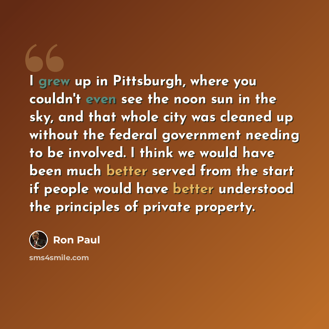 “I grew up in Pittsburgh, where you couldn't even see the noon sun in the sky, and that whole city was cleaned up without the federal government needing to be involved. I think we would have been much better served from the start if people would have better understood the principles of private…” quote by Ron Paul