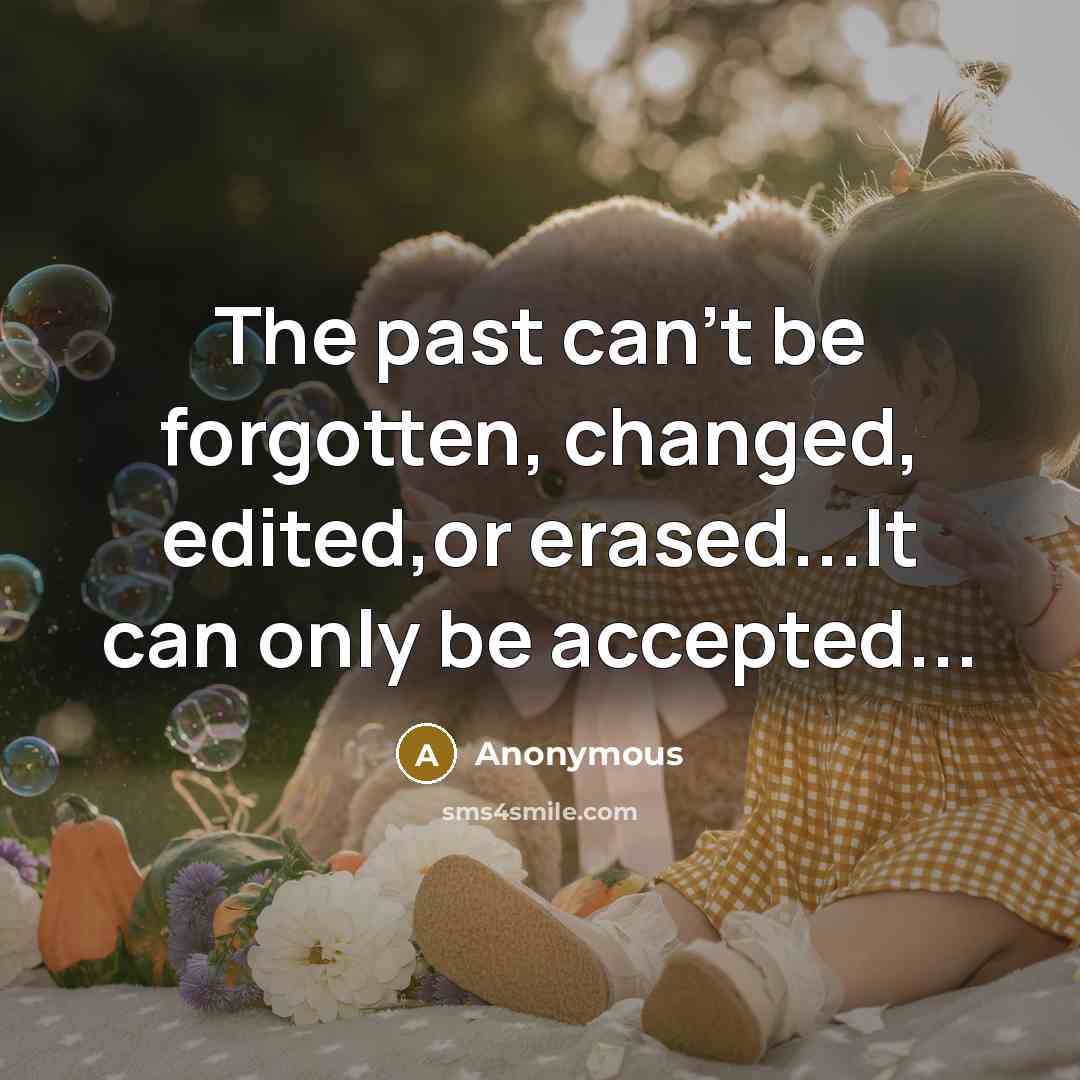 “The past can't be forgotten, changed, edited,or erased...It can only be accepted...” quote by Anonymous
