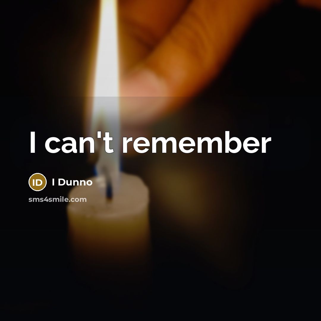 “I can't remember” quote by I Dunno