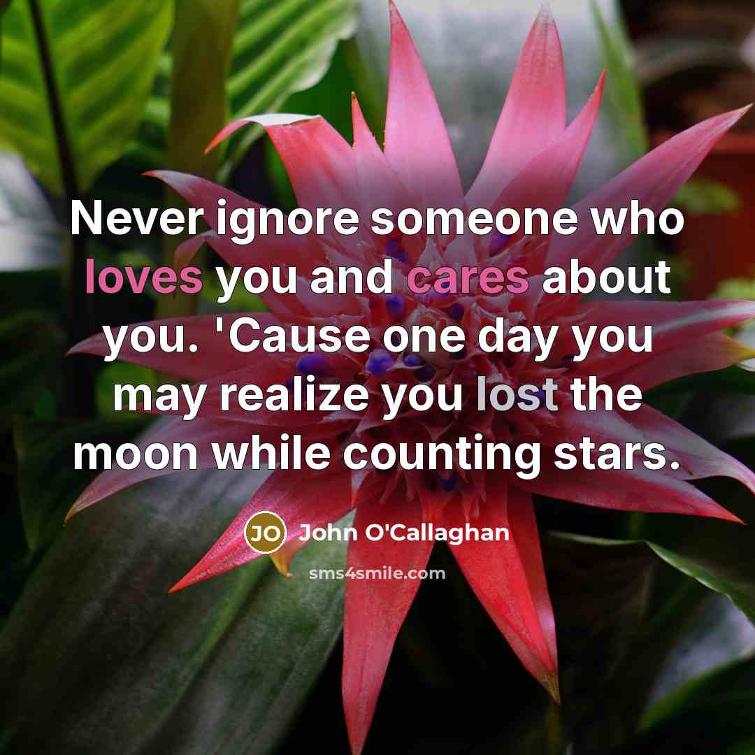 “Never ignore someone who loves you and cares about you. 'Cause one day you may realize you lost the moon while counting stars.” quote by John O'Callaghan