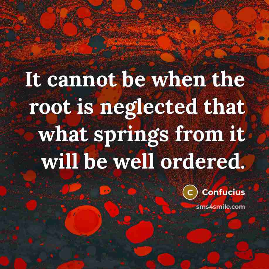 “It cannot be when the root is neglected that what springs from it will be well ordered.” quote by Confucius