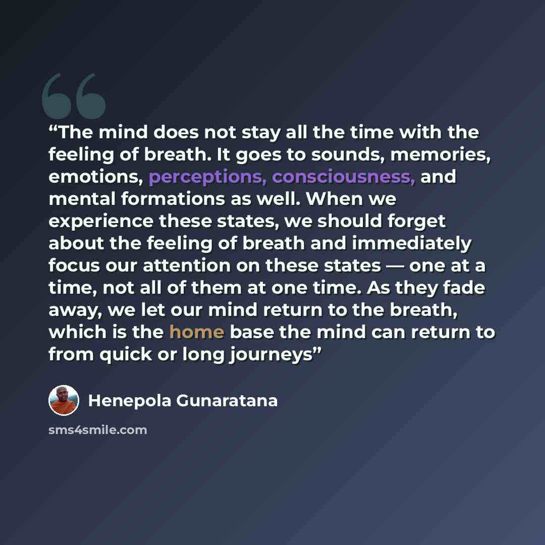 “The mind does not stay all the time with the feeling of breath. It goes to sounds, memories, emotions, perceptions, consciousness, and mental formations as well. When we experience these states, we should forget about the feeling of breath and immediately focus our attention on these states — one…” quote by Henepola Gunaratana