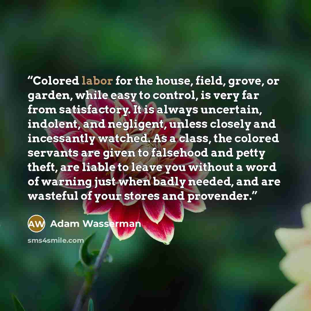 “Colored labor for the house, field, grove, or garden, while easy to control, is very far from satisfactory. It is always uncertain, indolent, and negligent, unless closely and incessantly watched. As a class, the colored servants are given to falsehood and petty theft, are liable to leave you…” quote by Adam Wasserman