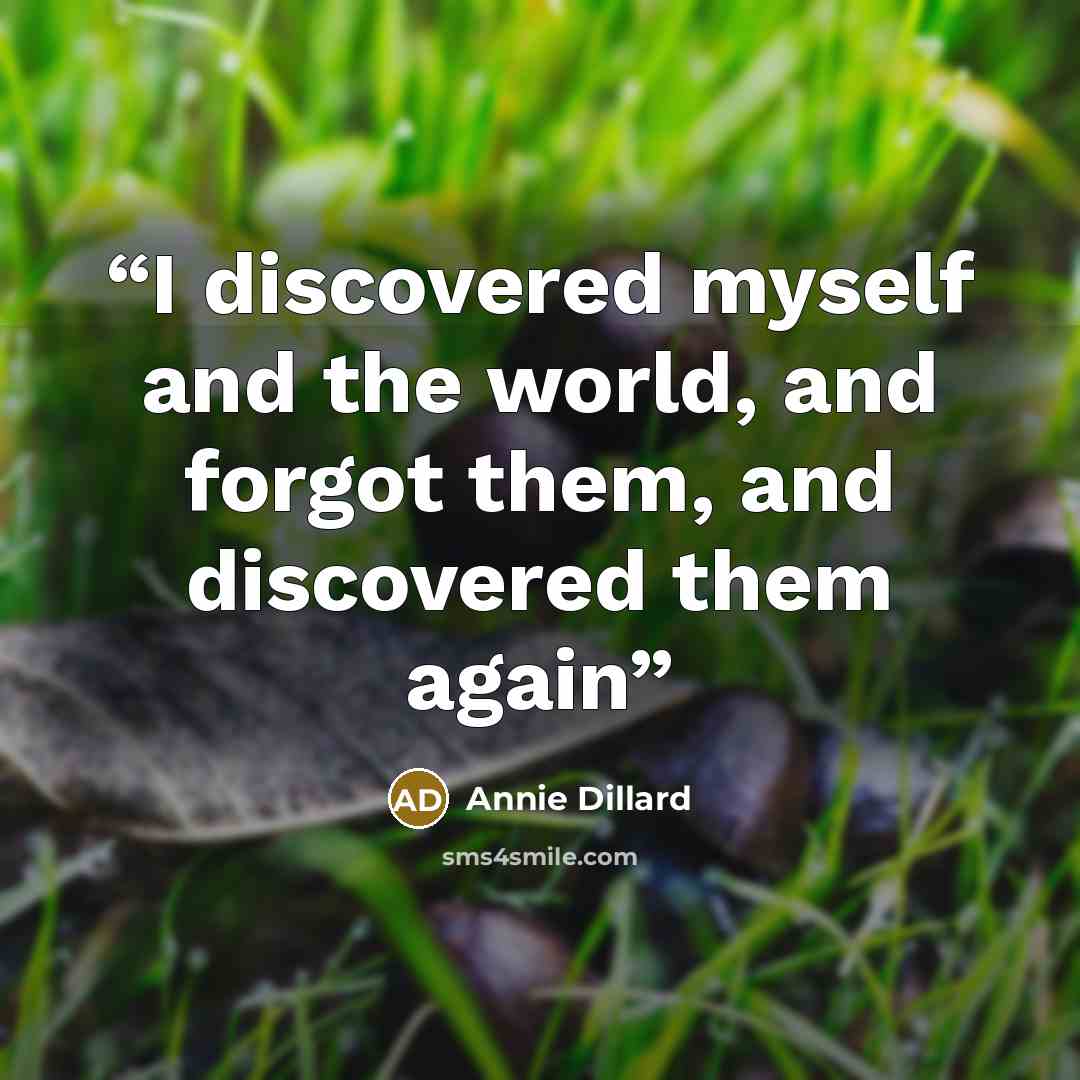 “I discovered myself and the world, and forgot them, and discovered them again” quote by Annie Dillard