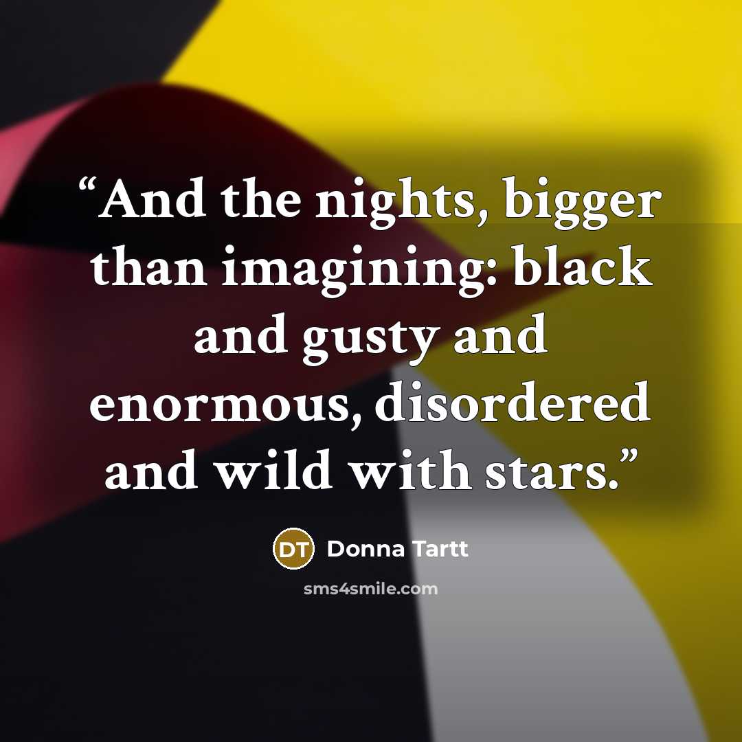 “And the nights, bigger than imagining: black and gusty and enormous, disordered and wild with stars.” quote by Donna Tartt