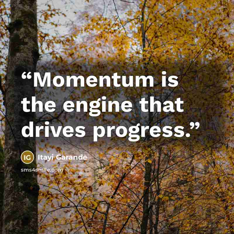 “Momentum is the engine that drives progress.” quote by Itayi Garande