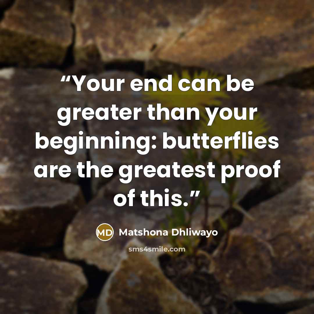 “Your end can be greater than your beginning: butterflies are the greatest proof of this.” quote by Matshona Dhliwayo