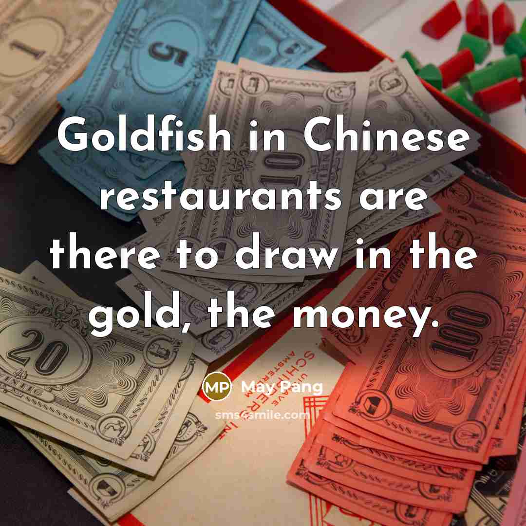 “Goldfish in Chinese restaurants are there to draw in the gold, the money.” quote by May Pang