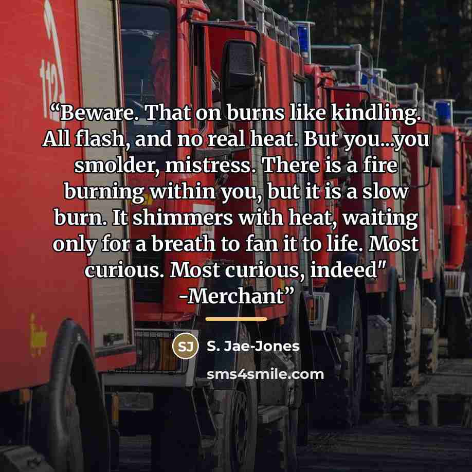 “Beware. That on burns like kindling. All flash, and no real heat. But you...you smolder, mistress. There is a fire burning within you, but it is a slow burn. It shimmers with heat, waiting only for a breath to fan it to life. Most curious. Most curious, indeed" -Merchant” quote by S. Jae-Jones