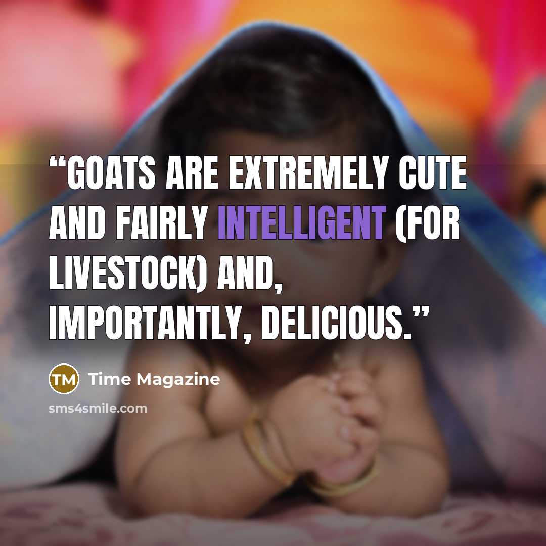“Goats are extremely cute and fairly intelligent (for livestock) and, importantly, delicious.” quote by Time Magazine