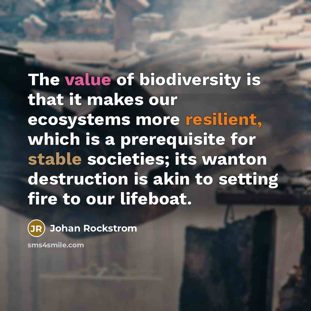 “The value of biodiversity is that it makes our ecosystems more resilient, which is a prerequisite for stable societies; its wanton destruction is akin to setting fire to our lifeboat.” quote by Johan Rockstrom