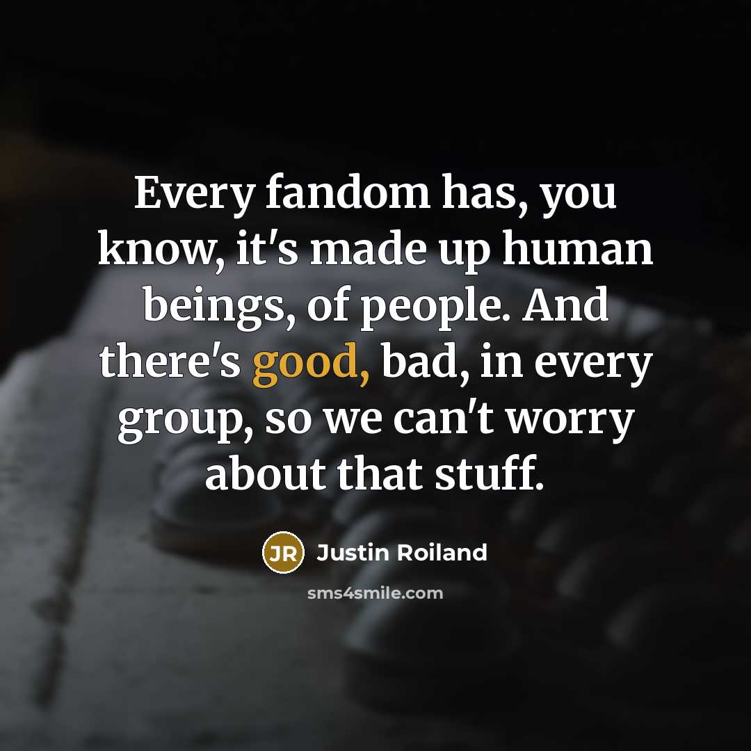 “Every fandom has, you know, it's made up human beings, of people. And there's good, bad, in every group, so we can't worry about that stuff.” quote by Justin Roiland