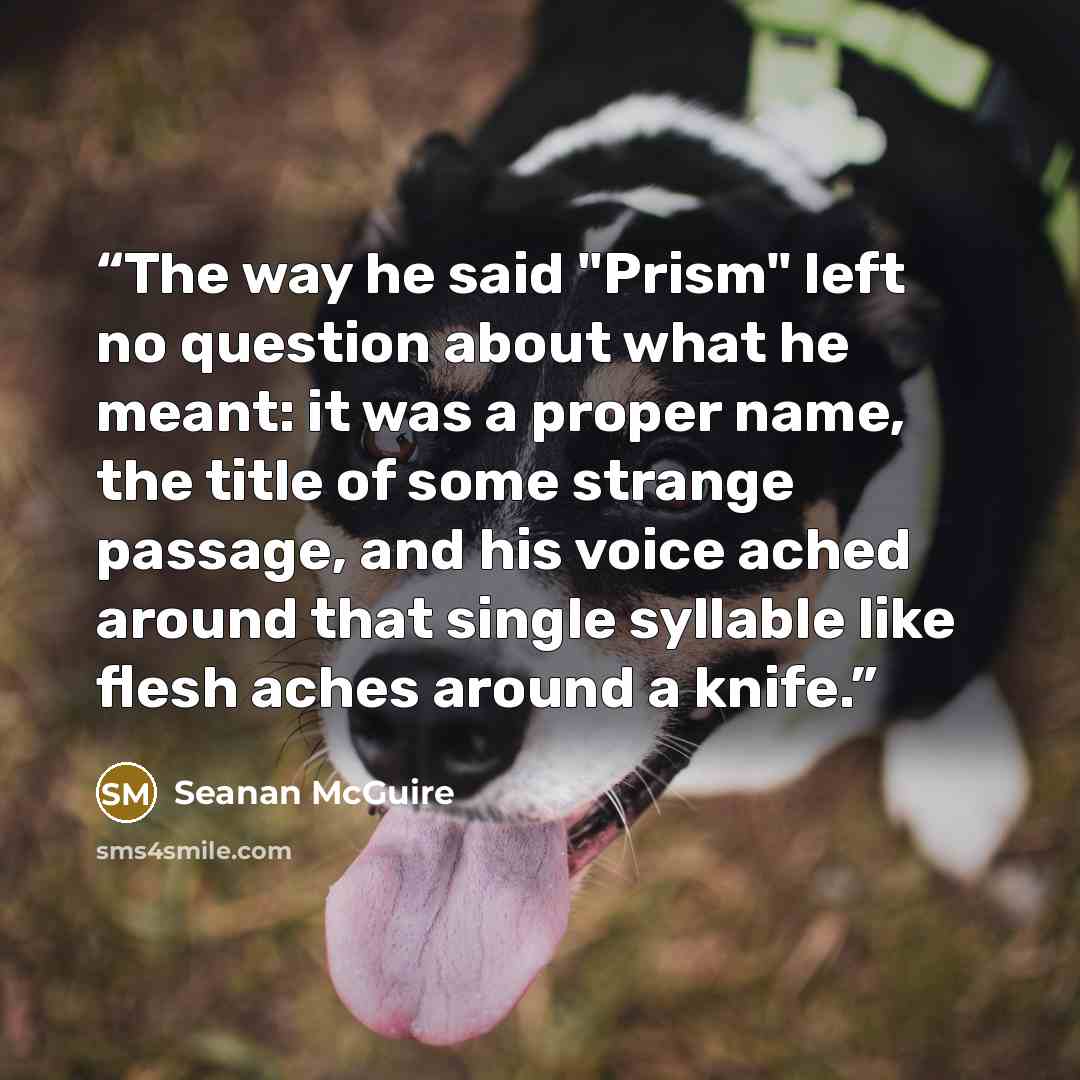 “The way he said "Prism" left no question about what he meant: it was a proper name, the title of some strange passage, and his voice ached around that single syllable like flesh aches around a knife.” quote by Seanan McGuire