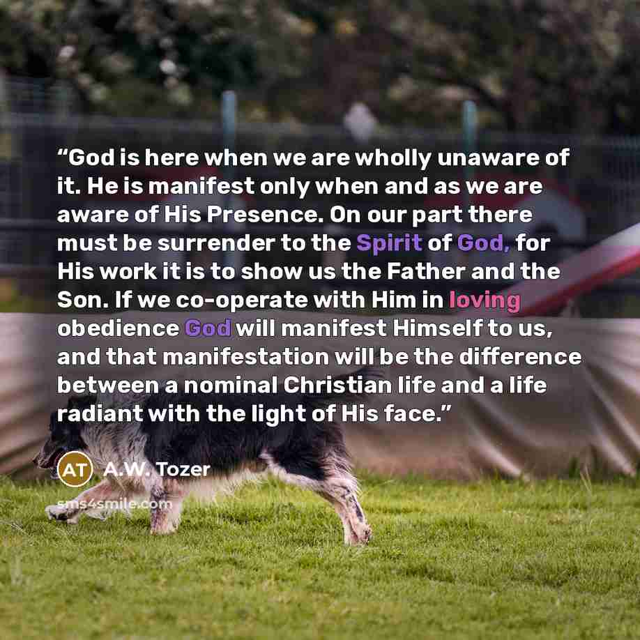 “God is here when we are wholly unaware of it. He is manifest only when and as we are aware of His Presence. On our part there must be surrender to the Spirit of God, for His work it is to show us the Father and the Son. If we co-operate with Him in loving obedience God will manifest Himself to us…” quote by A.W. Tozer