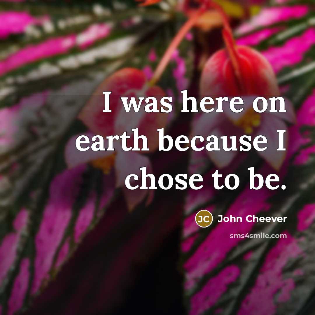 “I was here on earth because I chose to be.” quote by John Cheever