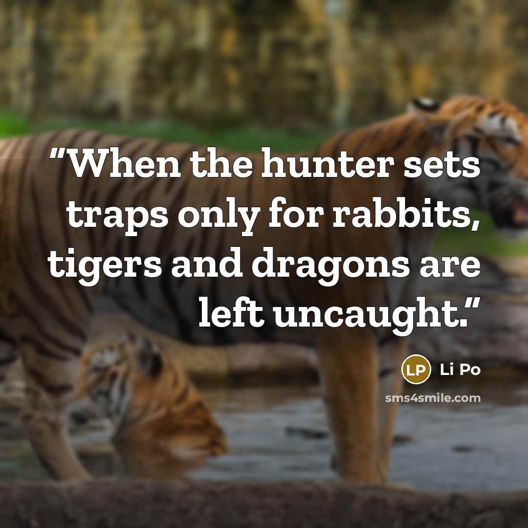 “When the hunter sets traps only for rabbits, tigers and dragons are left uncaught.” quote by Li Po