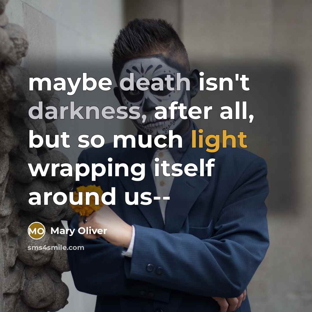 “maybe death isn't darkness, after all, but so much light wrapping itself around us--” quote by Mary Oliver