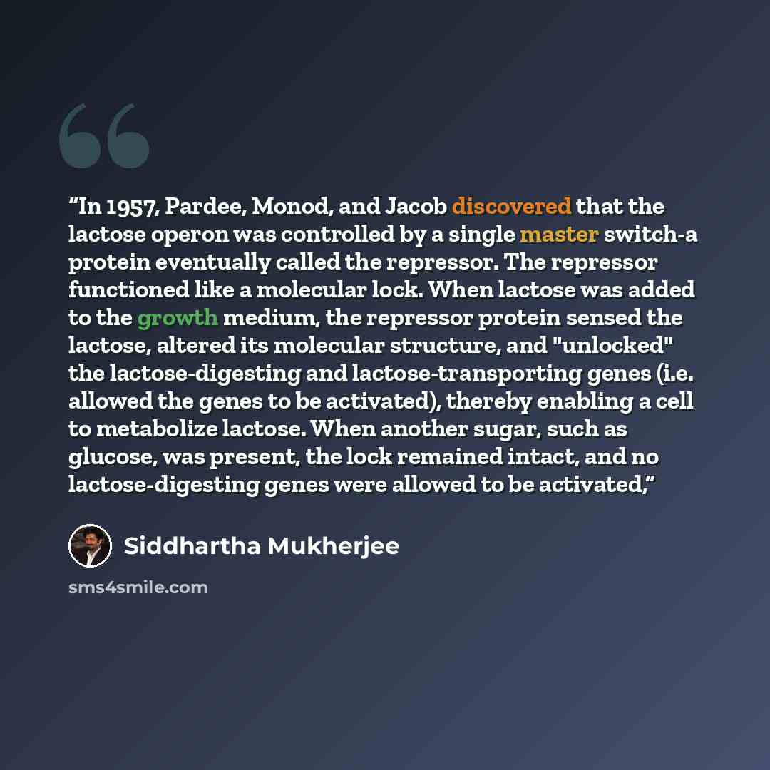 “In 1957, Pardee, Monod, and Jacob discovered that the lactose operon was controlled by a single master switch-a protein eventually called the repressor. The repressor functioned like a molecular lock. When lactose was added to the growth medium, the repressor protein sensed the lactose, altered…” quote by Siddhartha Mukherjee