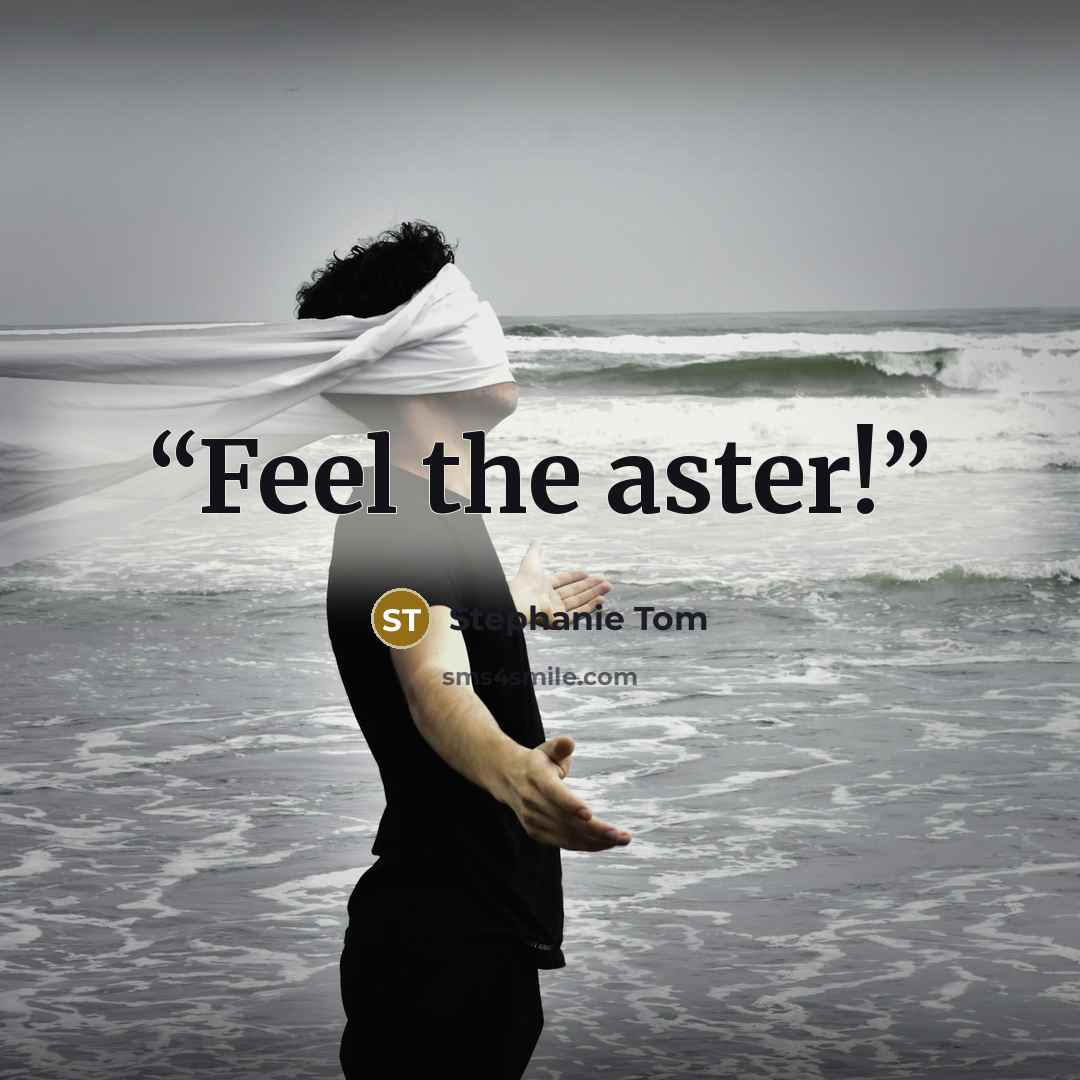 “Feel the aster!” quote by Stephanie Tom