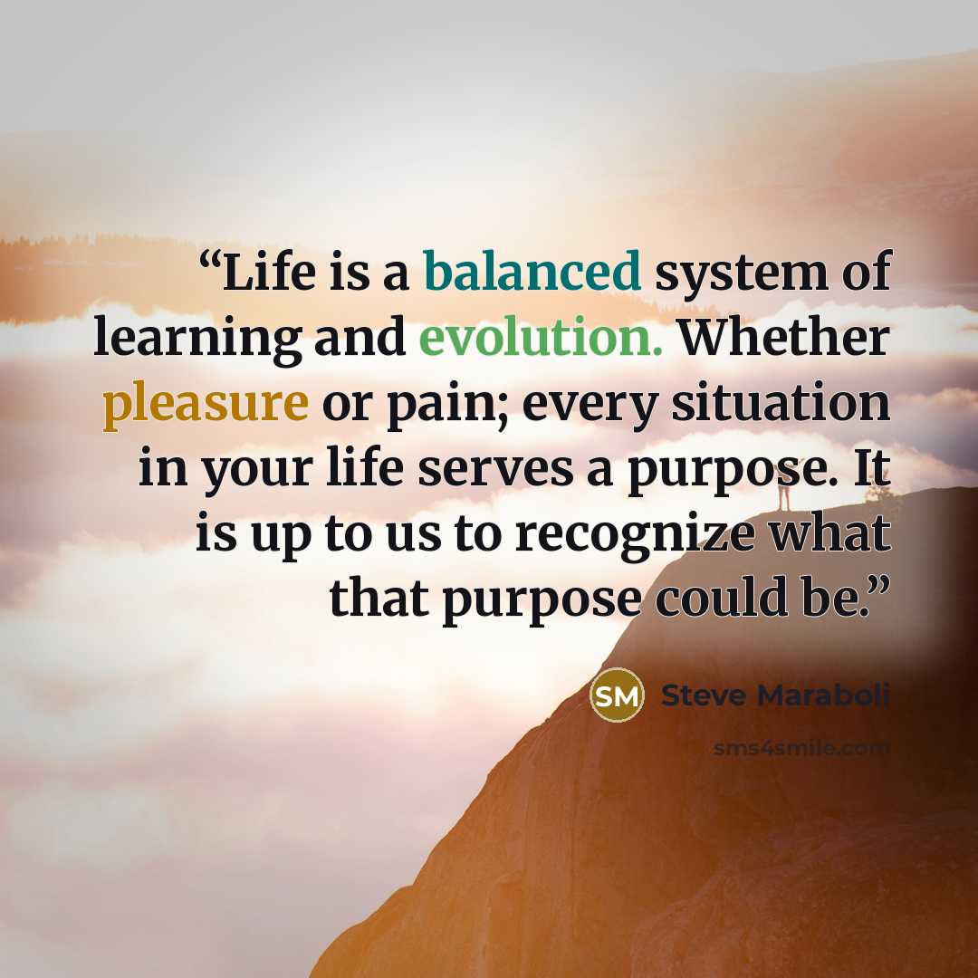 “Life is a balanced system of learning and evolution. Whether pleasure or pain; every situation in your life serves a purpose. It is up to us to recognize what that purpose could be.” quote by Steve Maraboli