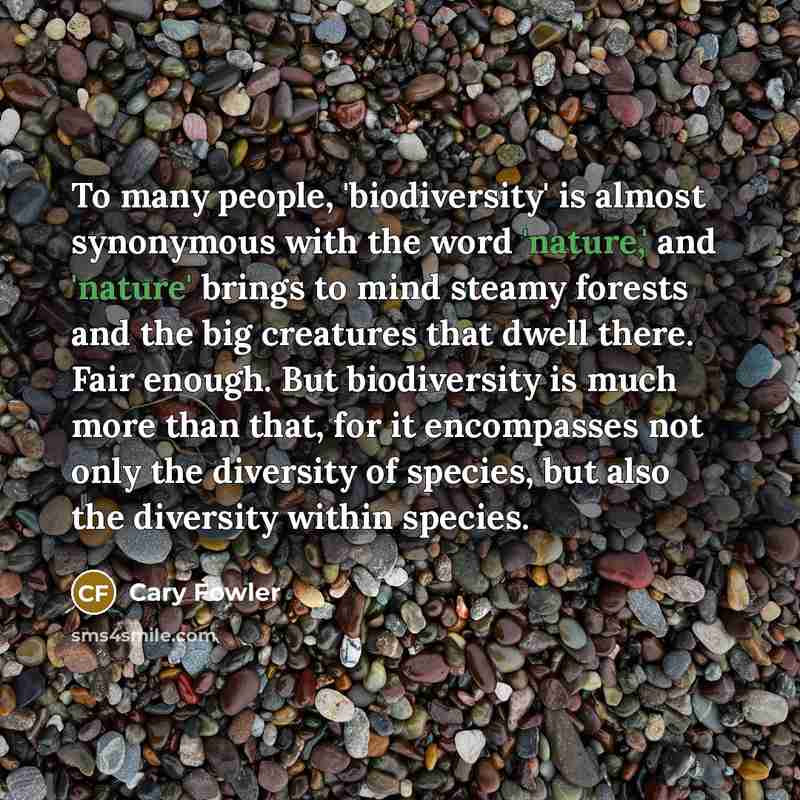 “To many people, 'biodiversity' is almost synonymous with the word 'nature,' and 'nature' brings to mind steamy forests and the big creatures that dwell there. Fair enough. But biodiversity is much more than that, for it encompasses not only the diversity of species, but also the diversity within…” quote by Cary Fowler