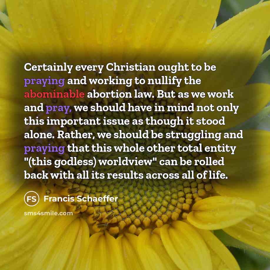 “Certainly every Christian ought to be praying and working to nullify the abominable abortion law. But as we work and pray, we should have in mind not only this important issue as though it stood alone. Rather, we should be struggling and praying that this whole other total entity "(this godless)…” quote by Francis Schaeffer