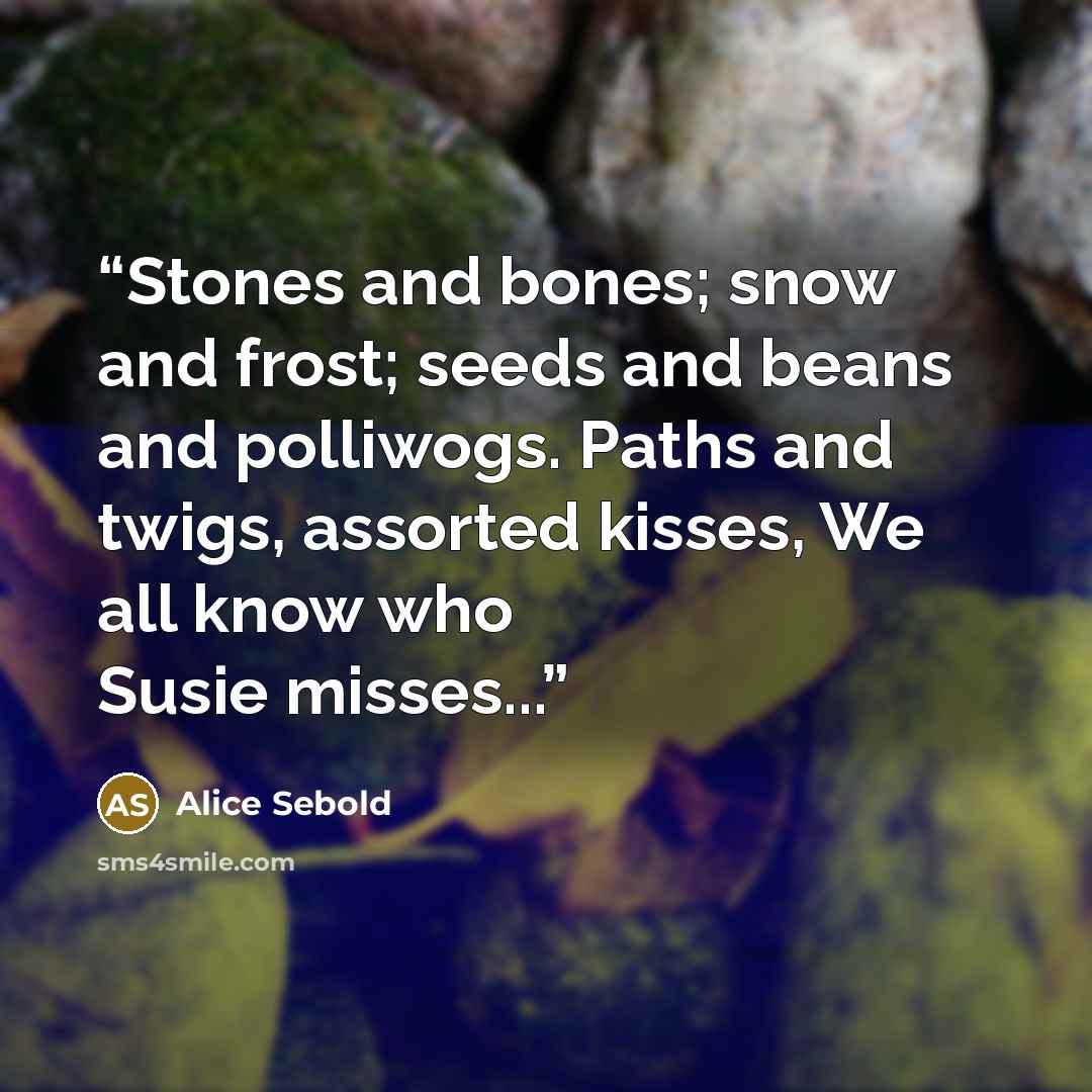 “Stones and bones; snow and frost; seeds and beans and polliwogs. Paths and twigs, assorted kisses, We all know who Susie misses...” quote by Alice Sebold