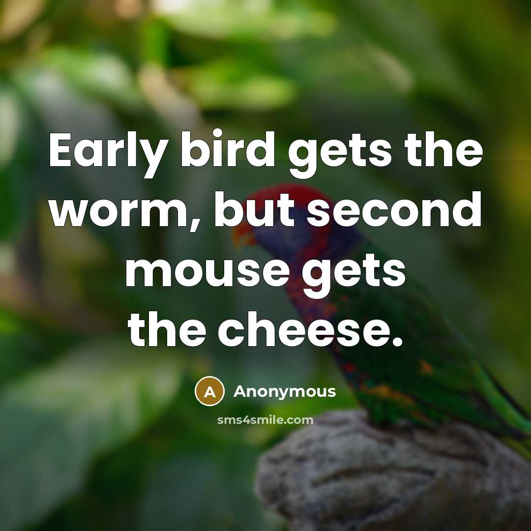“Early bird gets the worm, but second mouse gets the cheese.” quote by Anonymous