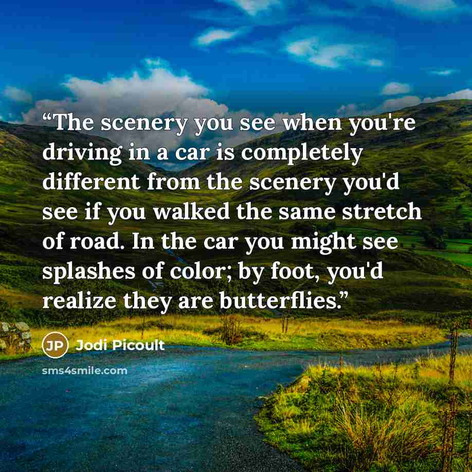 “The scenery you see when you're driving in a car is completely different from the scenery you'd see if you walked the same stretch of road. In the car you might see splashes of color; by foot, you'd realize they are butterflies.” quote by Jodi Picoult