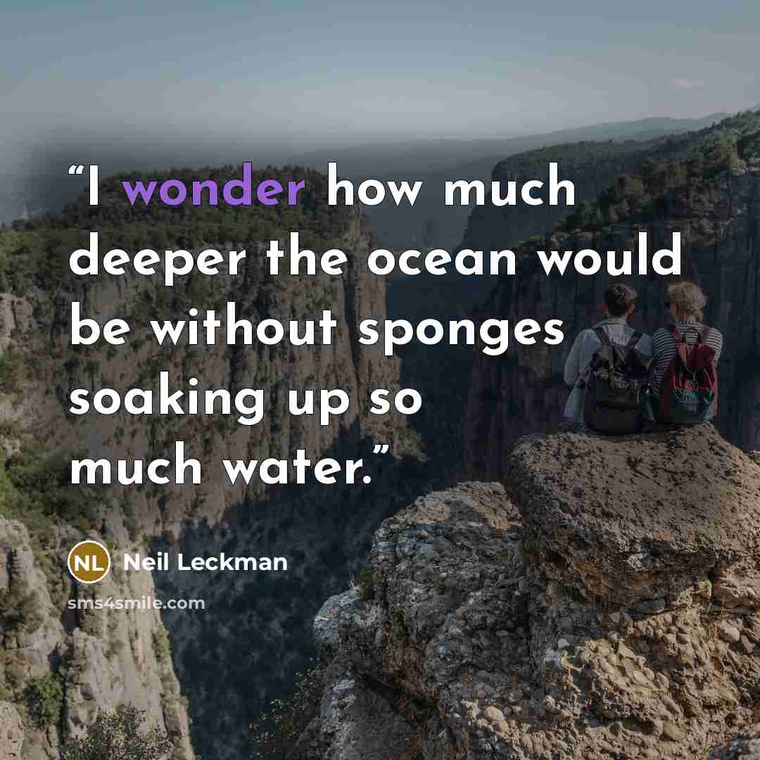 “I wonder how much deeper the ocean would be without sponges soaking up so much water.” quote by Neil Leckman