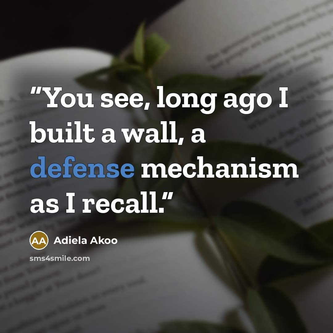 “You see, long ago I built a wall, a defense mechanism as I recall.” quote by Adiela Akoo
