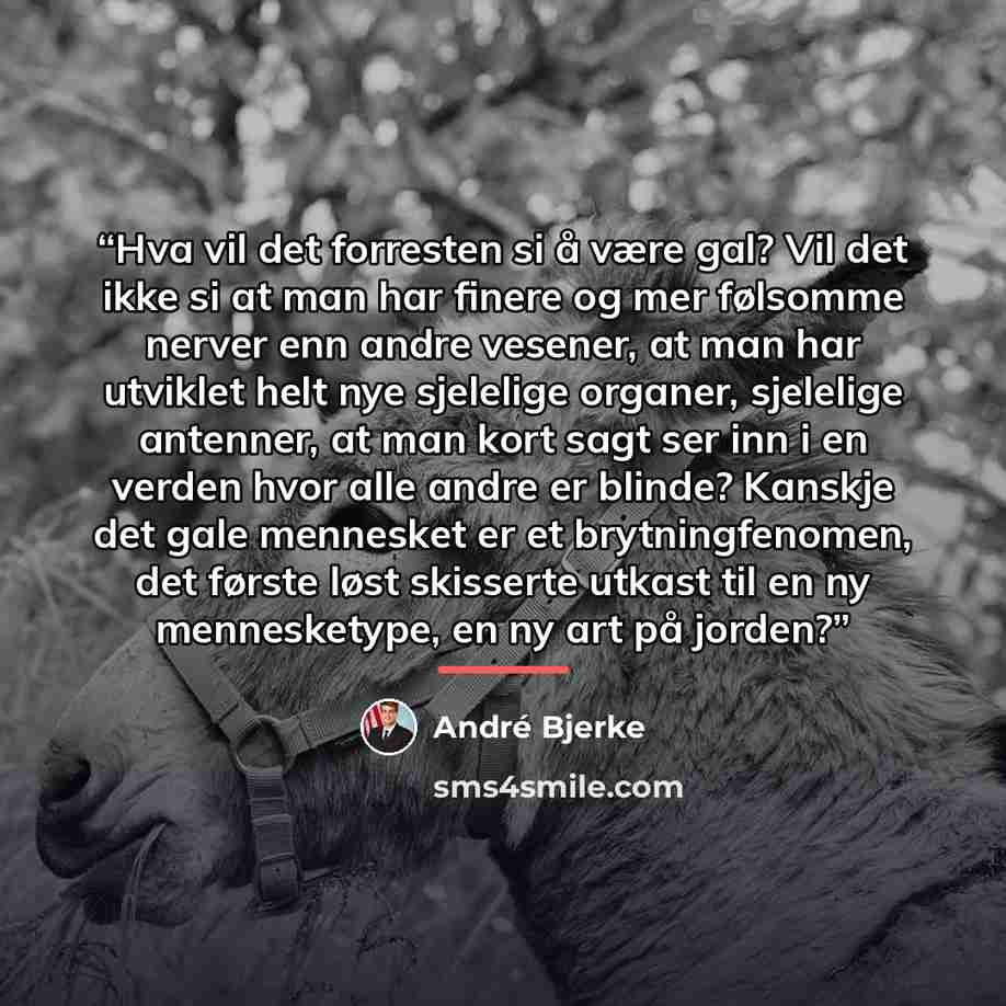 “Hva vil det forresten si å være gal? Vil det ikke si at man har finere og mer følsomme nerver enn andre vesener, at man har utviklet helt nye sjelelige organer, sjelelige antenner, at man kort sagt ser inn i en verden hvor alle andre er blinde? Kanskje det gale mennesket er et brytningfenomen, det…” quote by André Bjerke