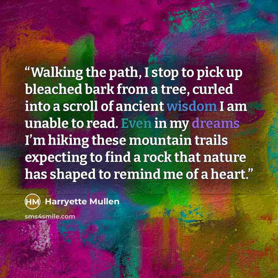 “Walking the path, I stop to pick up bleached bark from a tree, curled into a scroll of ancient wisdom I am unable to read. Even in my dreams I’m hiking these mountain trails expecting to find a rock that nature has shaped to remind me of a heart.” quote by Harryette Mullen