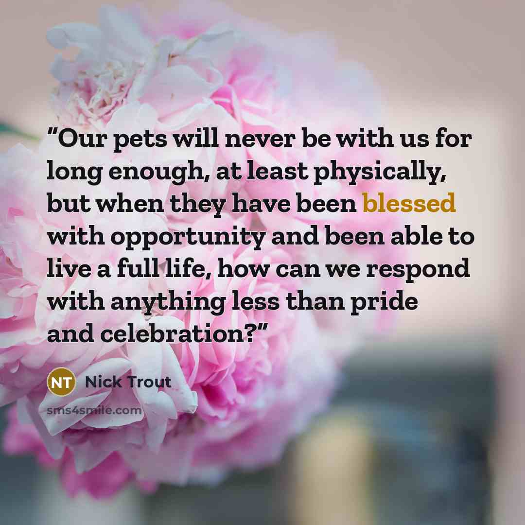 “Our pets will never be with us for long enough, at least physically, but when they have been blessed with opportunity and been able to live a full life, how can we respond with anything less than pride and celebration?” quote by Nick Trout