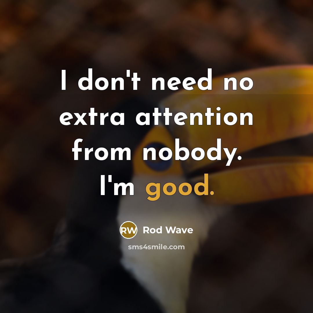 “I don't need no extra attention from nobody. I'm good.” quote by Rod Wave