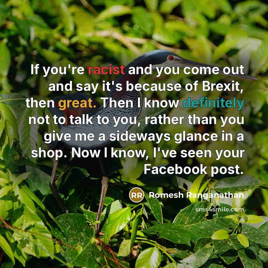 “If you're racist and you come out and say it's because of Brexit, then great. Then I know definitely not to talk to you, rather than you give me a sideways glance in a shop. Now I know, I've seen your Facebook post.” quote by Romesh Ranganathan