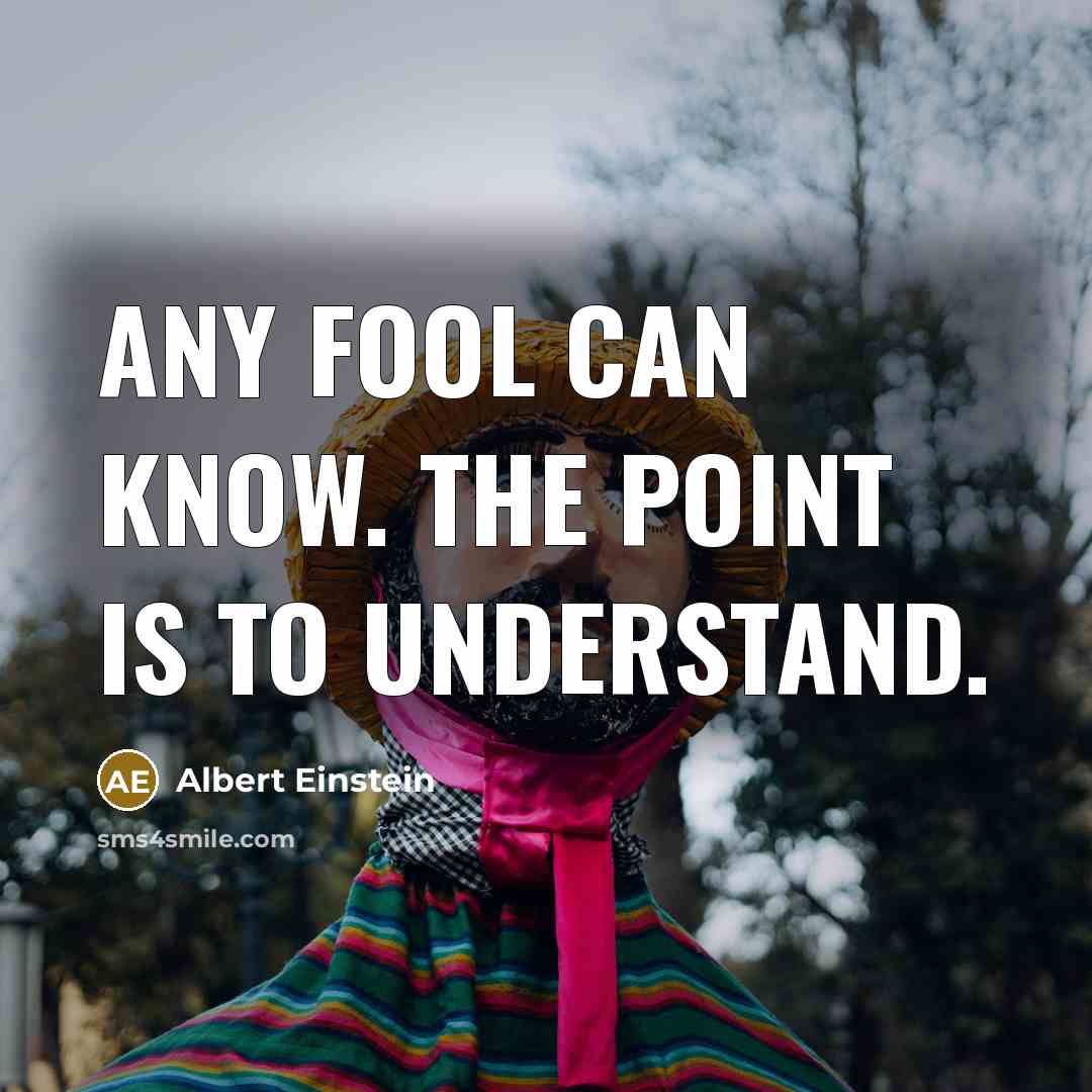 “Any fool can know. The point is to understand.” quote by Albert Einstein