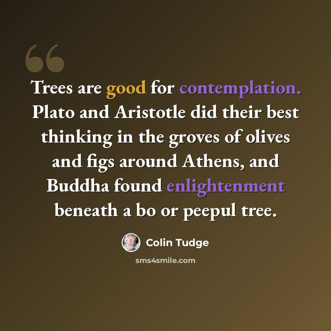 “Trees are good for contemplation. Plato and Aristotle did their best thinking in the groves of olives and figs around Athens, and Buddha found enlightenment beneath a bo or peepul tree.” quote by Colin Tudge