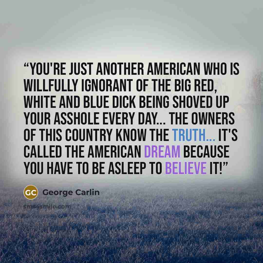 “You're just another american who is willfully ignorant of the big red, white and blue dick being shoved up your asshole every day... The owners of this country know the truth... it's called the American dream because you have to be asleep to believe it!” quote by George Carlin